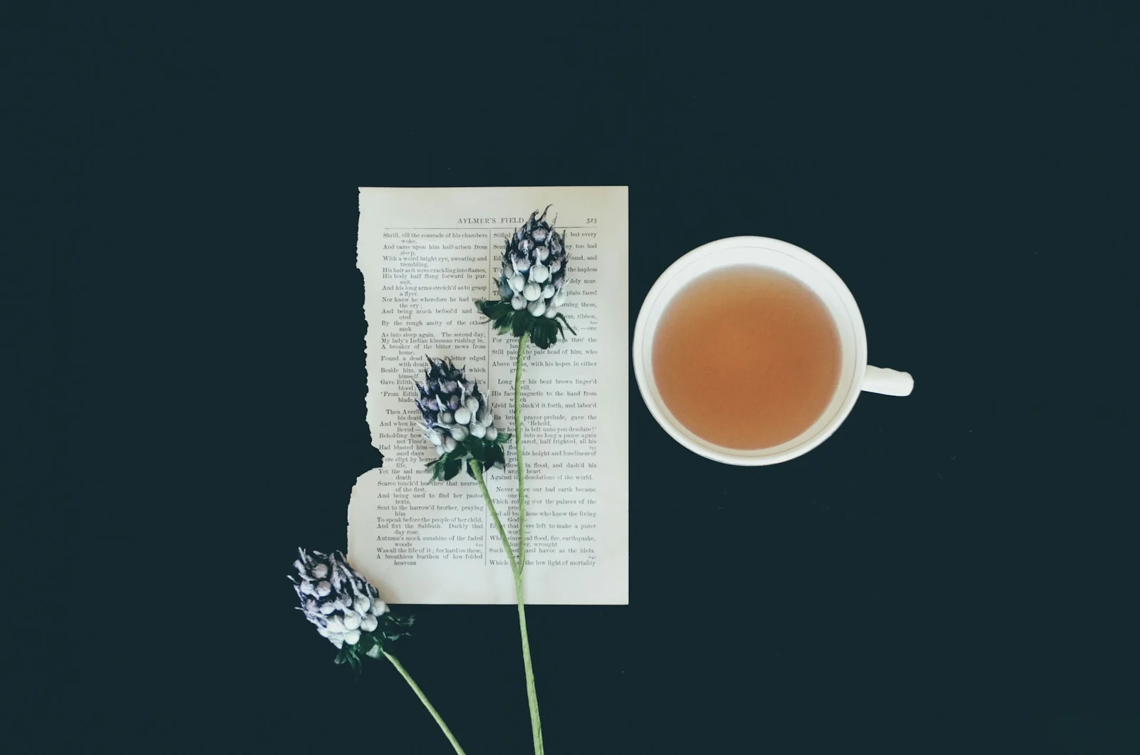 Is Tea Acidic or Basic? Understanding Tea’s Role in Acidity and Digestion