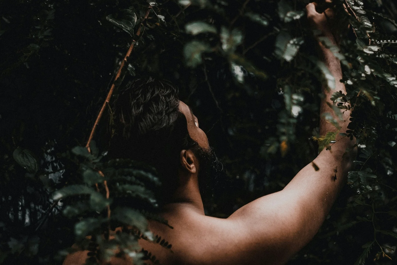 The Ayurvedic Approach to Aging: Can Natural Remedies Rival Modern Aesthetics?